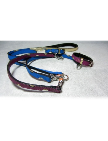 "Twin Peaks Coupler" Dog Lead Coupler & Dog Collars Package