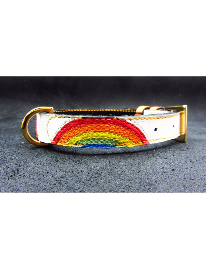 "Rainbow eyes" - Unique dog leather collar
