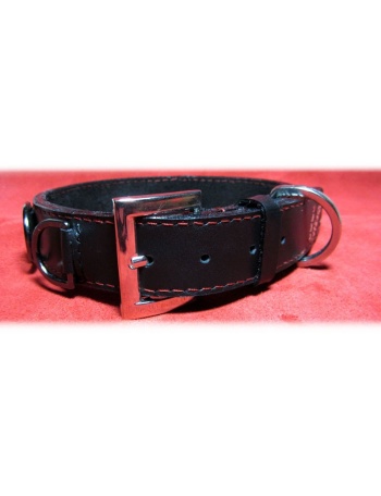 "Fearless Warrior" Dog leather collar 